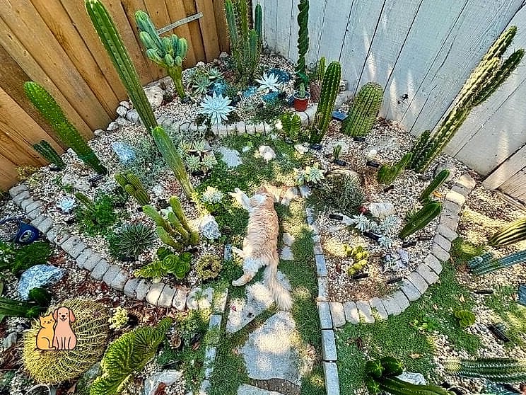 The Succulent Garden Cat Tower