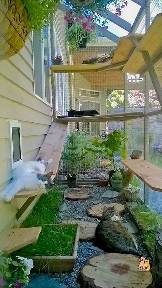 The Succulent Garden Catio