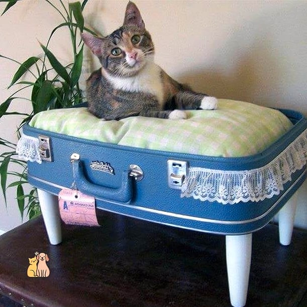 Suitcase Vintage Bed