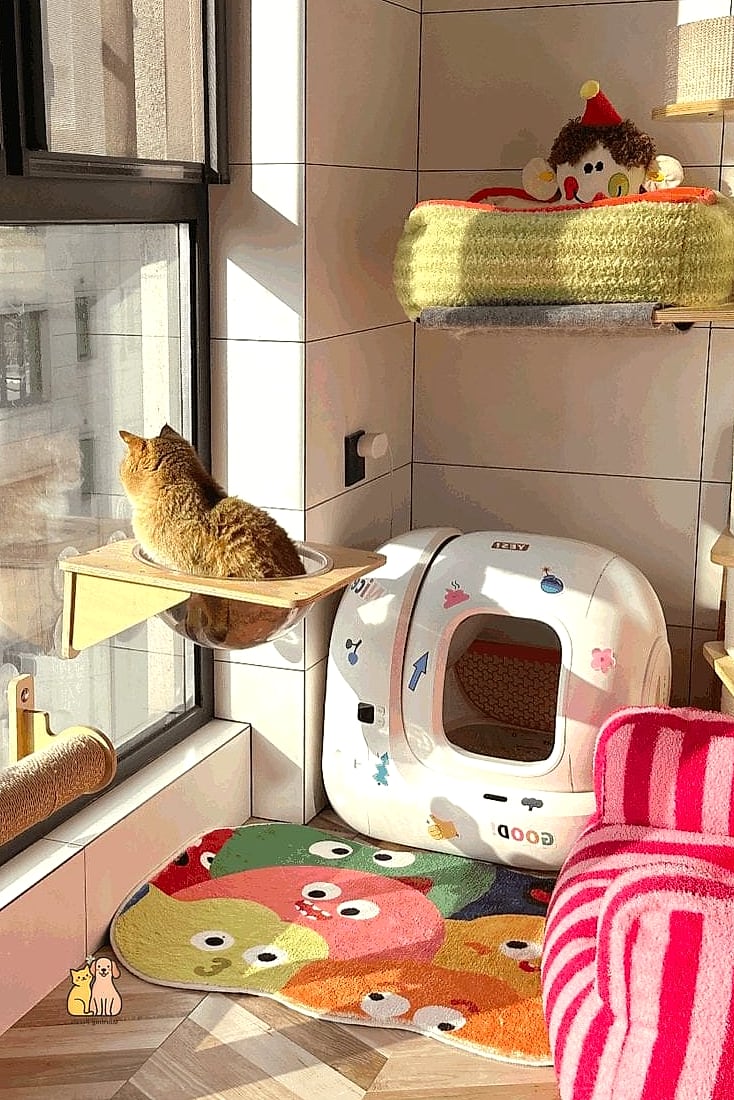 45 Budget-friendly Cat Eating Station Ideas Worth Pinning Immediately 35 The Sunroom Corner Setup