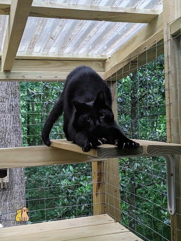 The Sunroom Style Catio