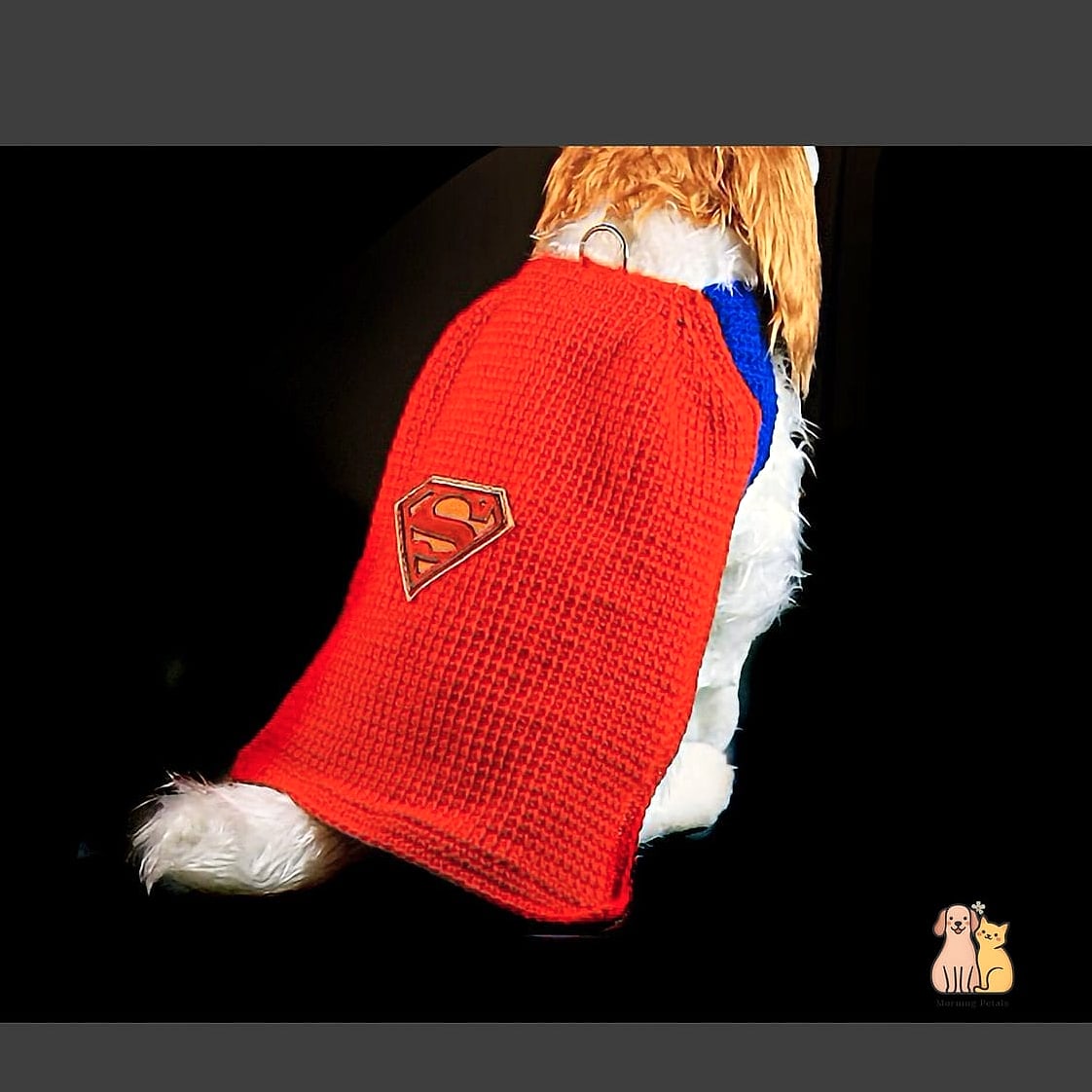 The Superhero Cape Sweater