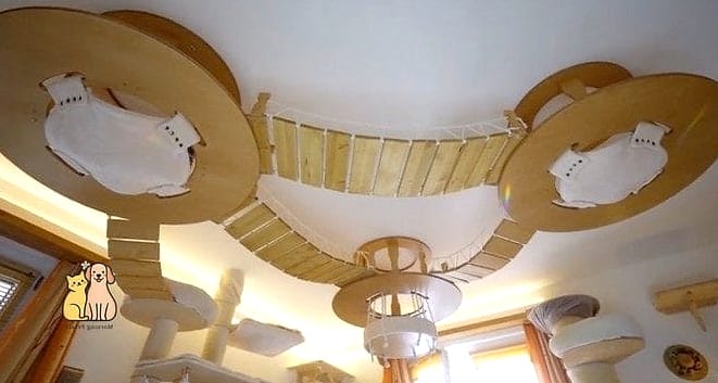 The Suspended Ceiling-Mounted Cat Walk