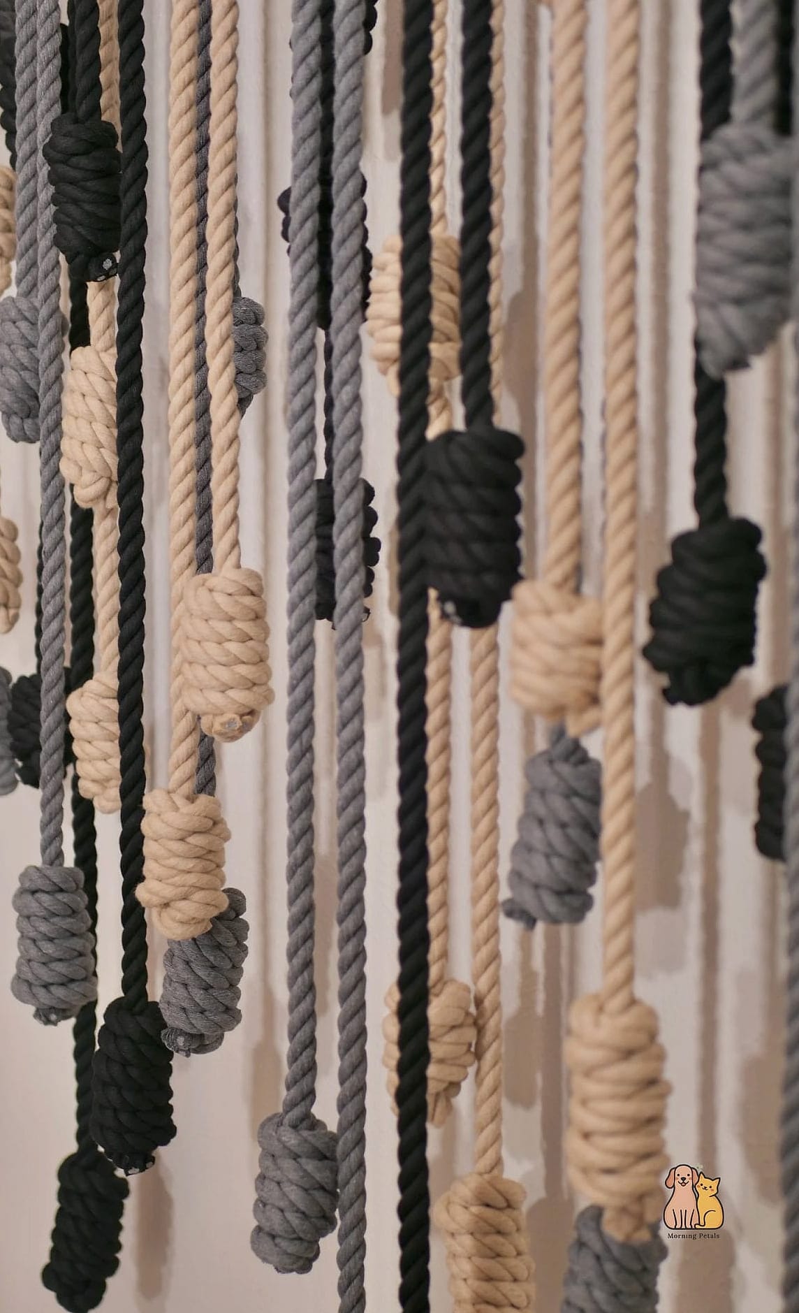 The Suspended Rope Bridge