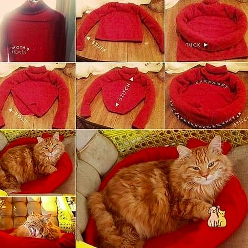 The Sweater Sleeve Nest