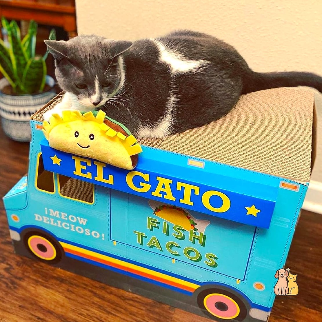 The Taco Scratch Pad