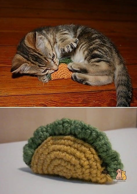 Taco-Shaped Cat Bed