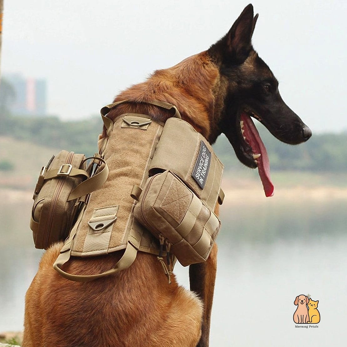 The Tactical MOLLE Dog Vest