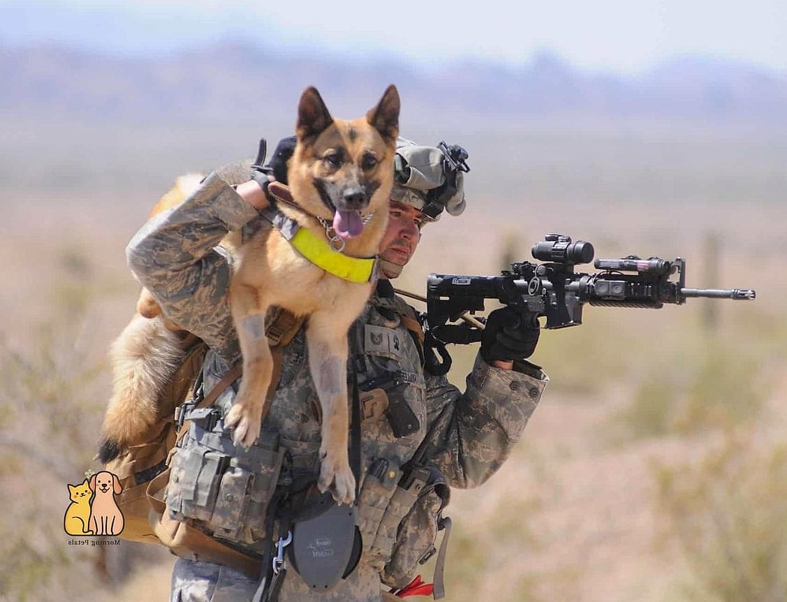 The Tactical-Style Working Vest