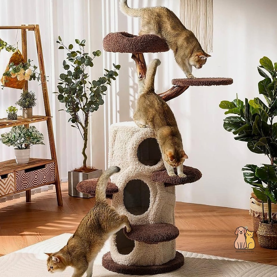 The Tall Multi-Cat Skyscraper