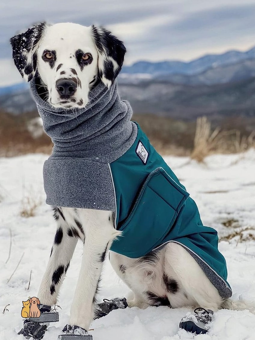 The Tartan Wrap Coat With Leash Hole