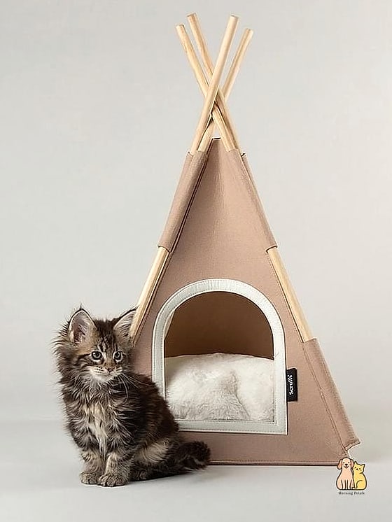 The Teepee Cat Cave