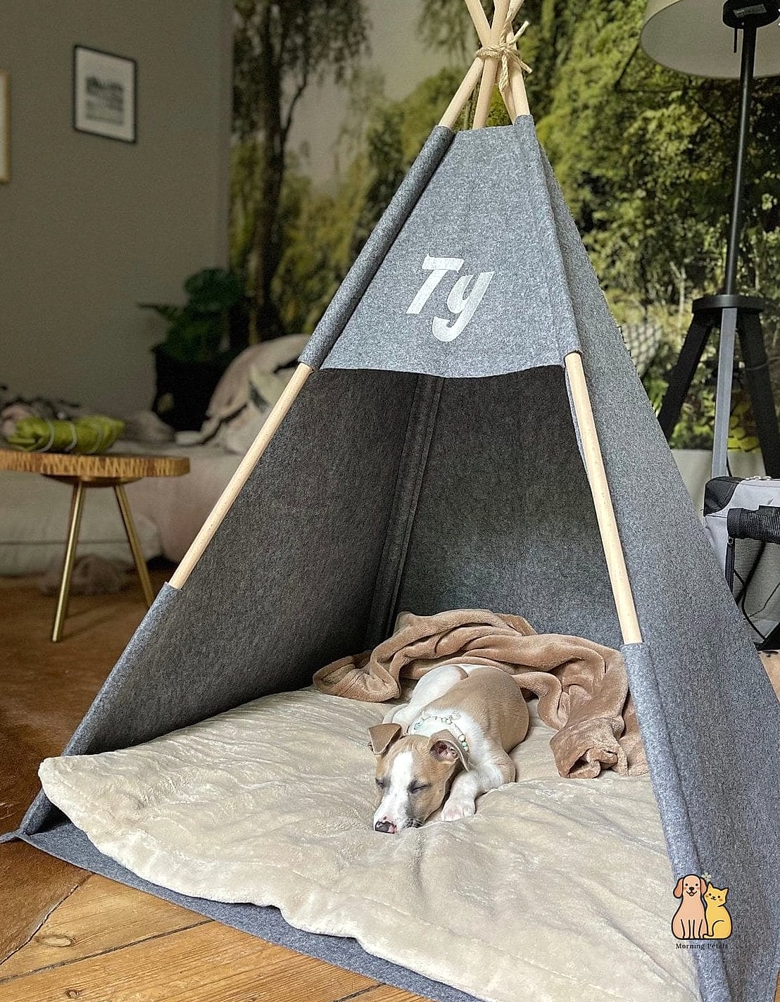The Teepee Tent Bed