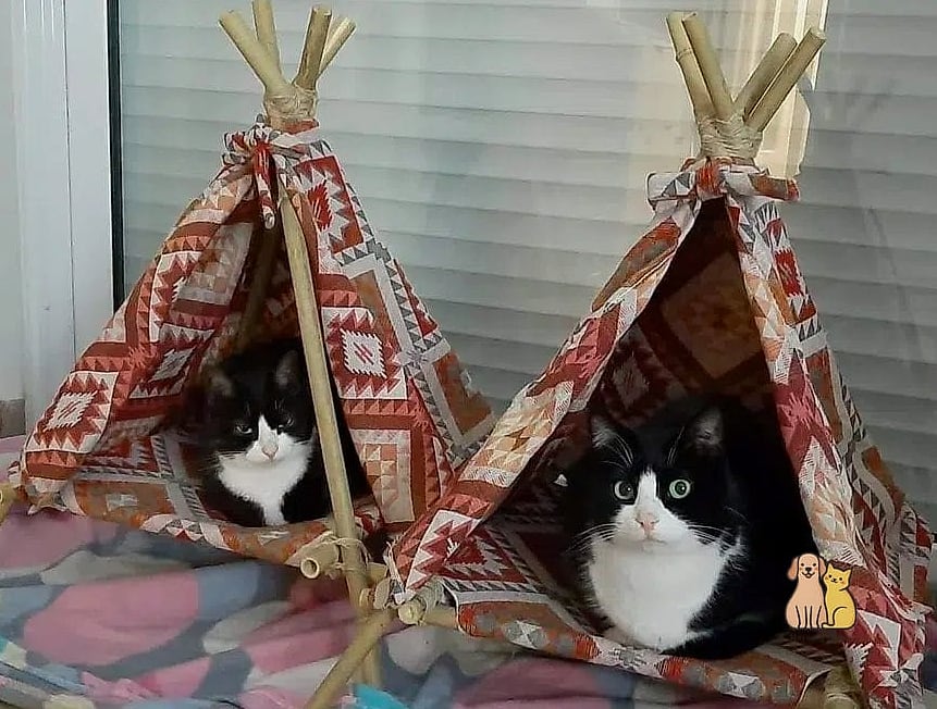 The Teepee Tent House