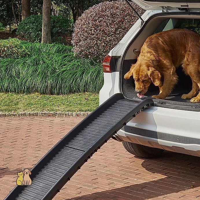 22 Cute Dog Ramps For Boats That Prove Pets Are the Best 3 The Telescoping Aluminum Ramp