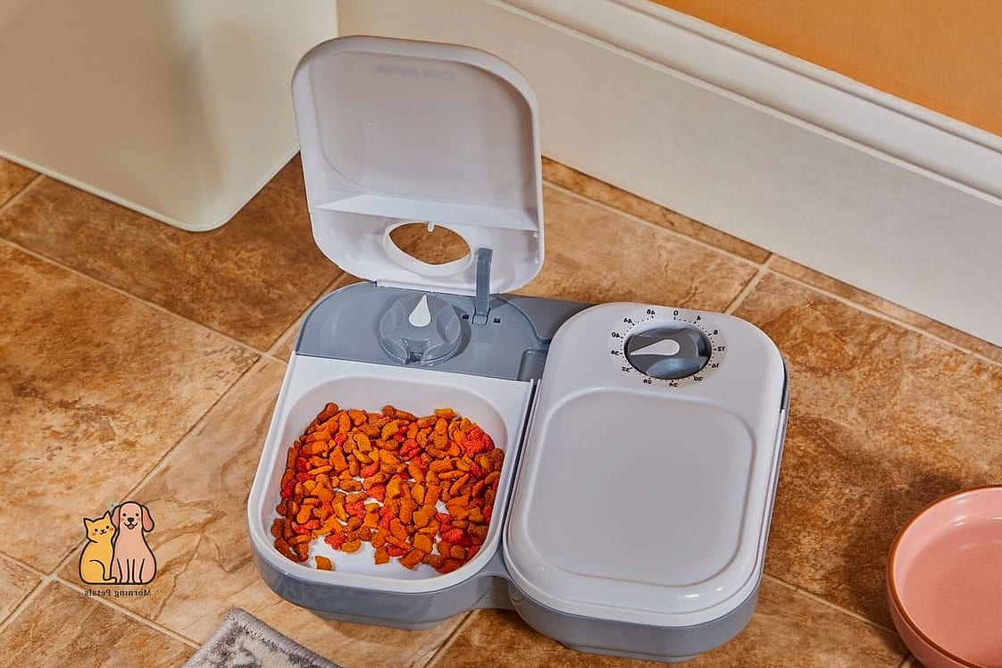 50 Budget-friendly Cat Food Station Ideas Your Pet Will Beg For More 21 The Terracotta Saucer Setup