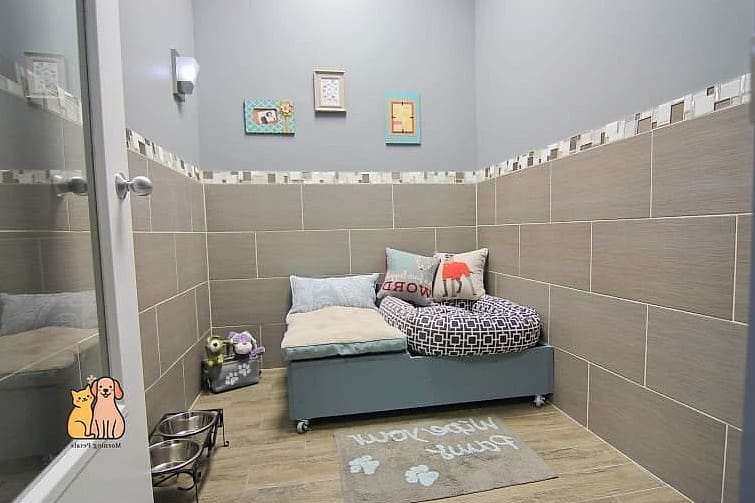 24 Easy Dog Boarding Facility Ideas That Will Inspire You 15 Themed Suite Decor