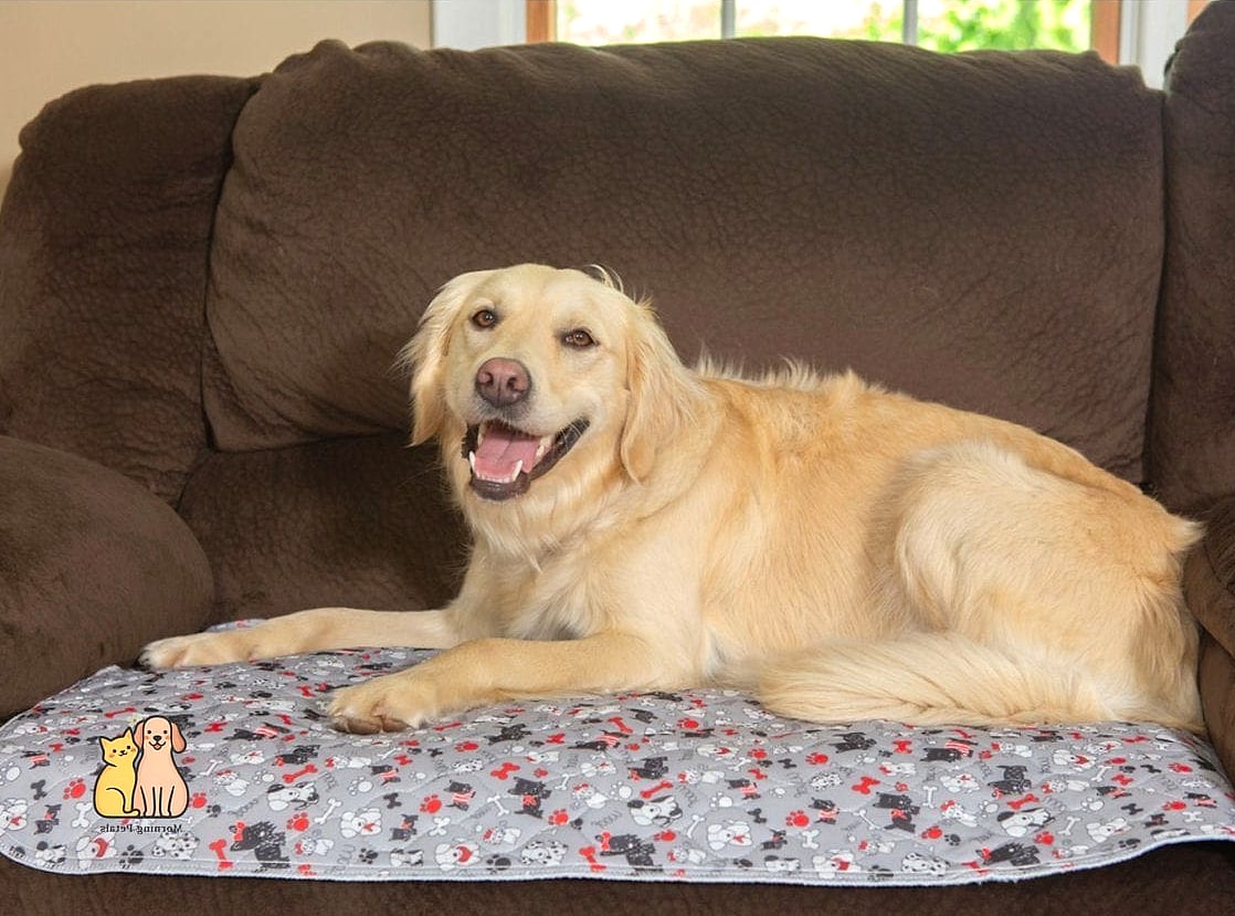 25 Amazing Dog Pee Pads That Will Restore Your Faith in the World 8 The Thick Quilted Pad for Heavy Wetters