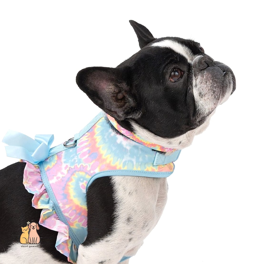 The Tie-Dye Harness
