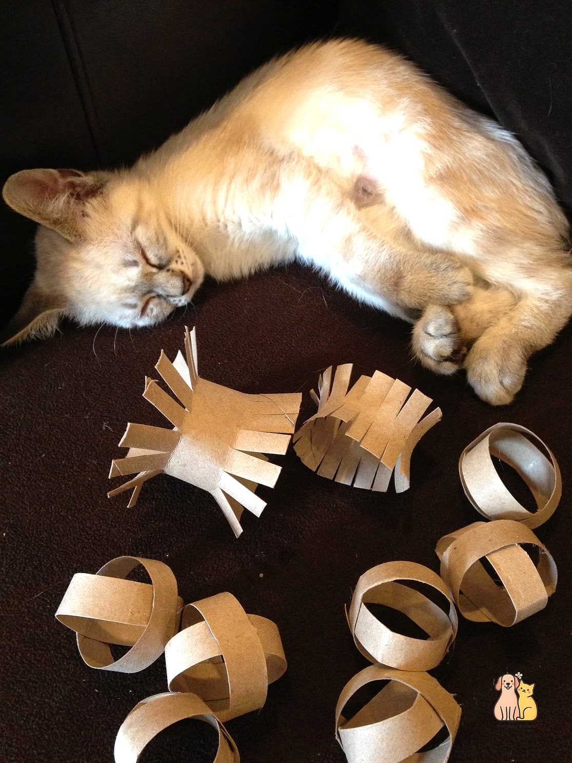 Toilet Paper Roll Treat Puzzle