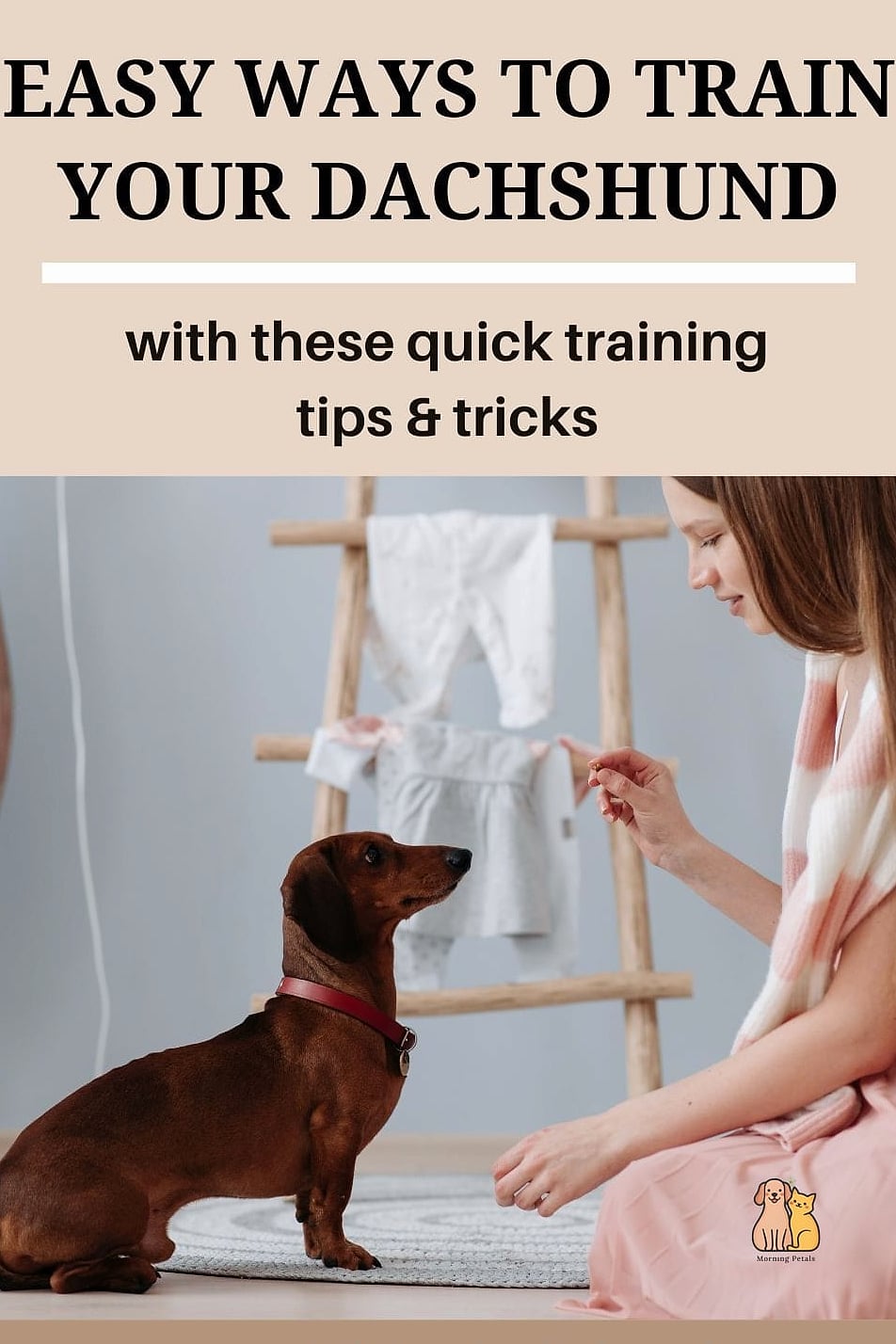 Training a Dachshund Successfully
