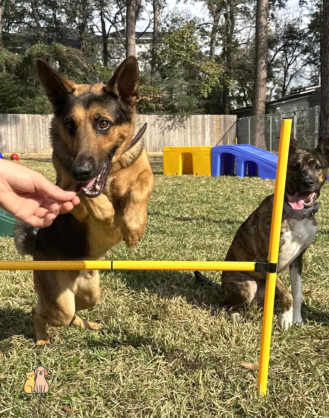 Training New Tricks