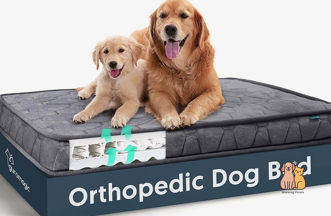15 Gorgeous Orthopedic Dog Beds That Will Restore Your Faith in the World 6 The Travel-Friendly Orthopedic Dog Bed