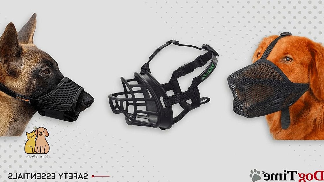The Travel-Friendly Foldable Muzzle