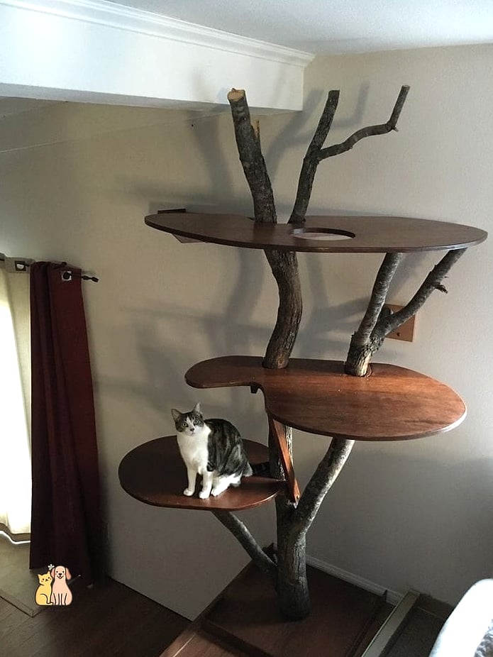 The Tree Branch Tower