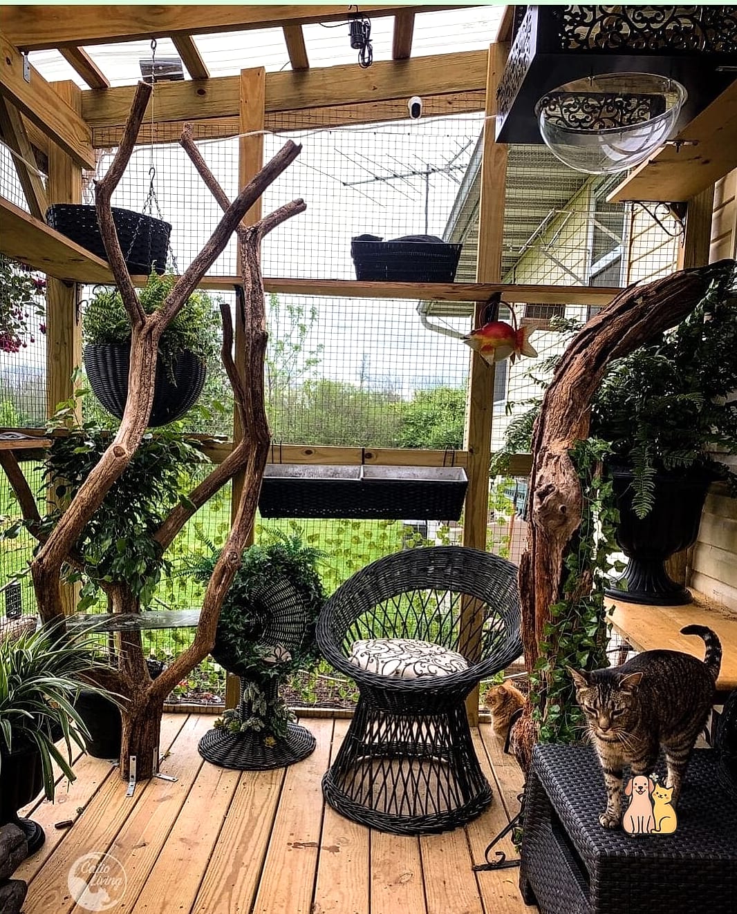 The Treehouse Catio