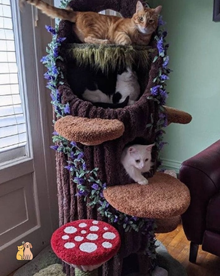 The Treehouse Hideaway Tower
