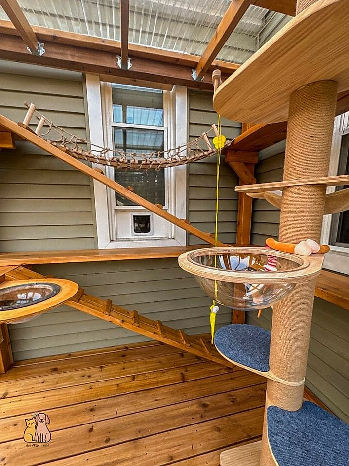 The Tree-Wrapped Catio