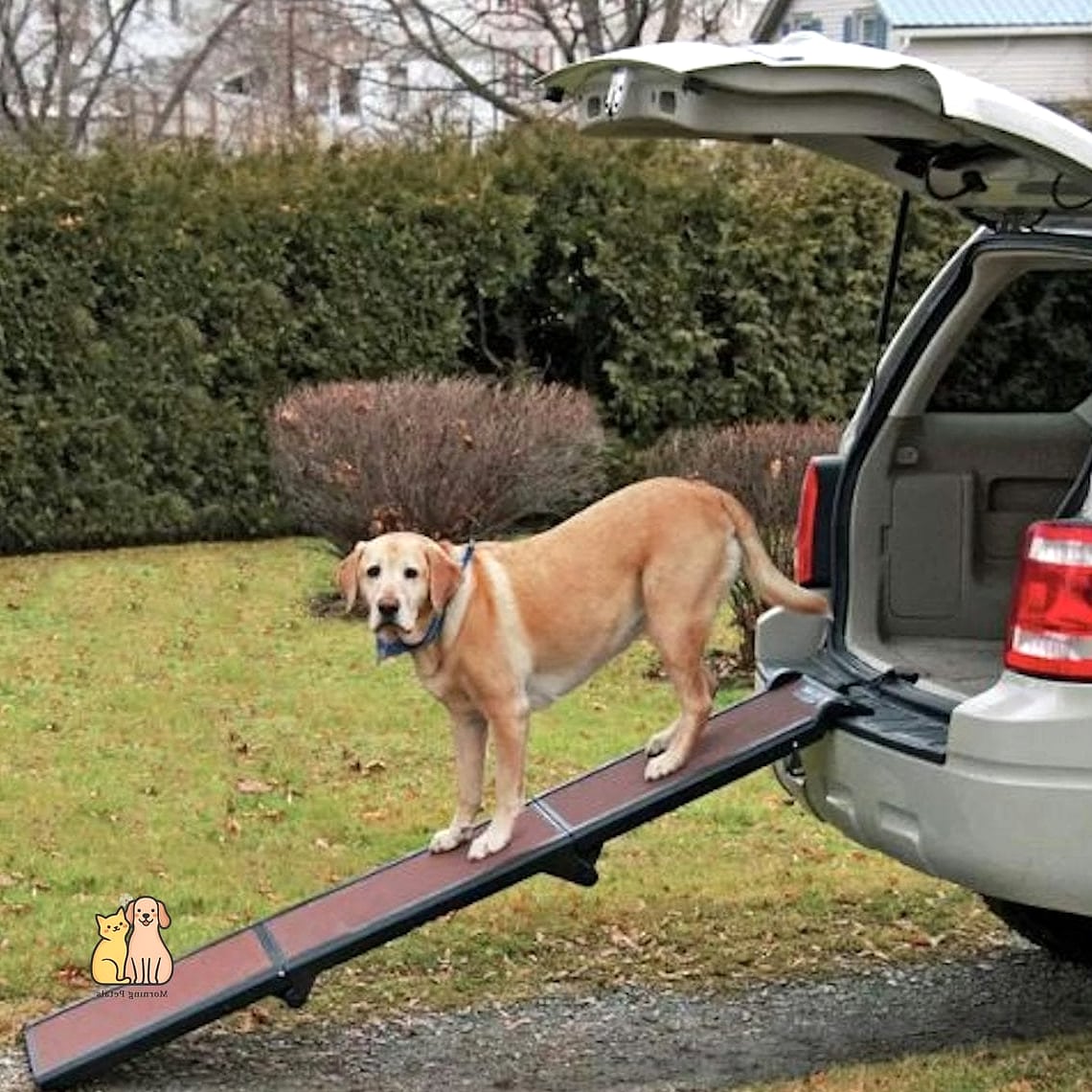 The Tri-Fold Travel Ramp