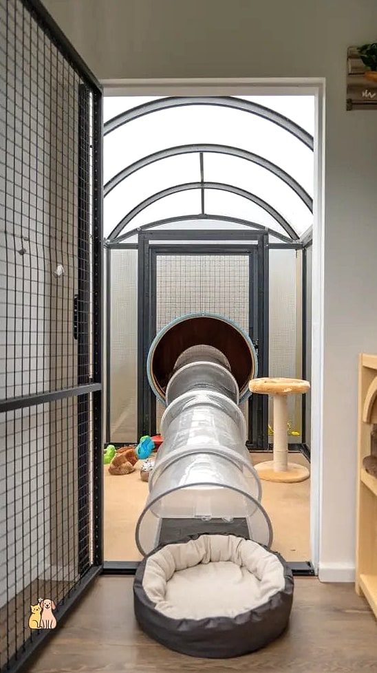 The Tunnel-Connected Catio