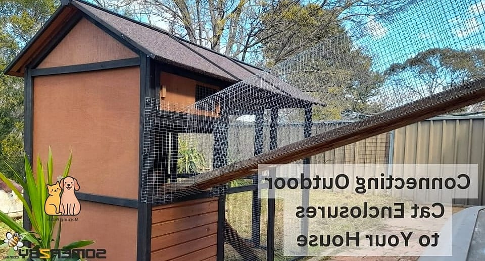 The Tunnel-Connected Catio