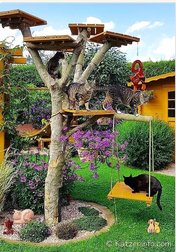 The Tunnel-to-Tree Catio