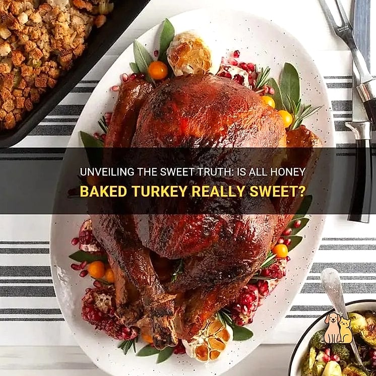 19 Budget-friendly Homemade Dog Meals That Are Totally Worth It 3 Turkey and Sweet Potato Dinner