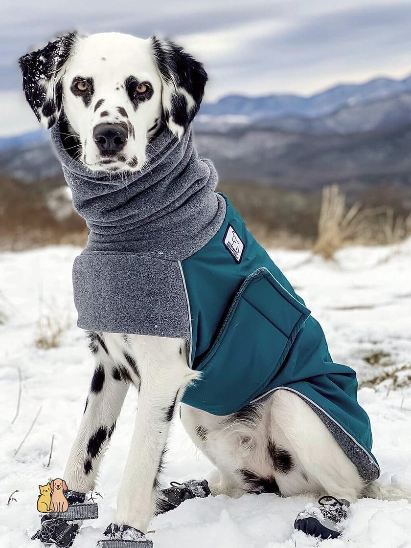 The Turtleneck Base Layer