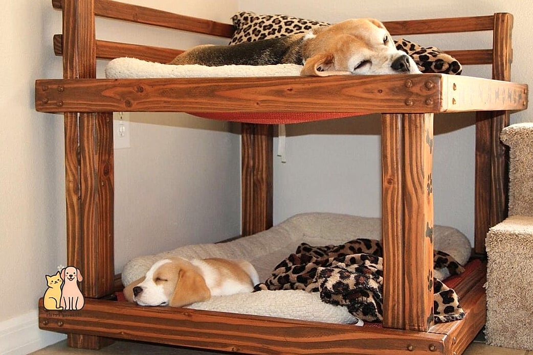 The Twin Bed Frame Downsized for Dogs