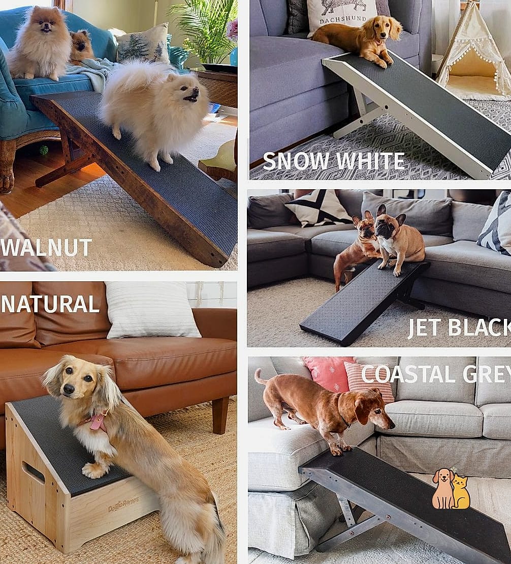 22 Cute Dog Ramps For Boats That Prove Pets Are the Best 13 The Two-Panel Hinged Ramp
