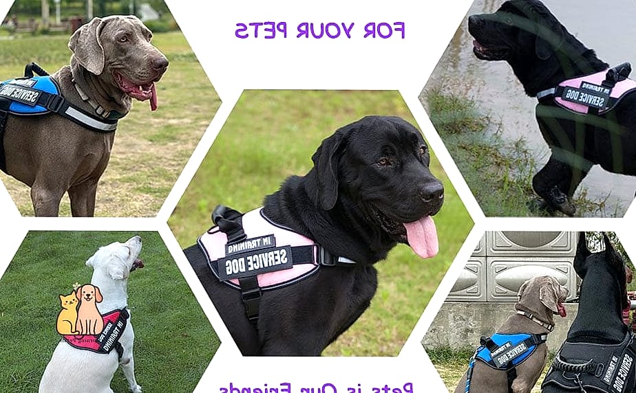 The Two-Patch Custom ID Vest
