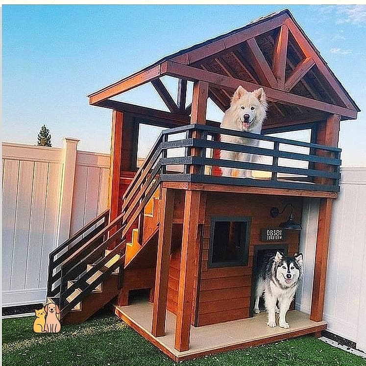 22 Genius Outdoor Dog Shelter Ideas That Are Totally Worth It 13 The Two-Story Dog House