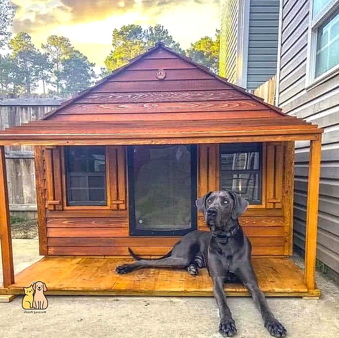 25 Amazing Dog Houses For Large Dogs That Are Too Cute to Handle 9 The Two-Story Doghouse With Balcony
