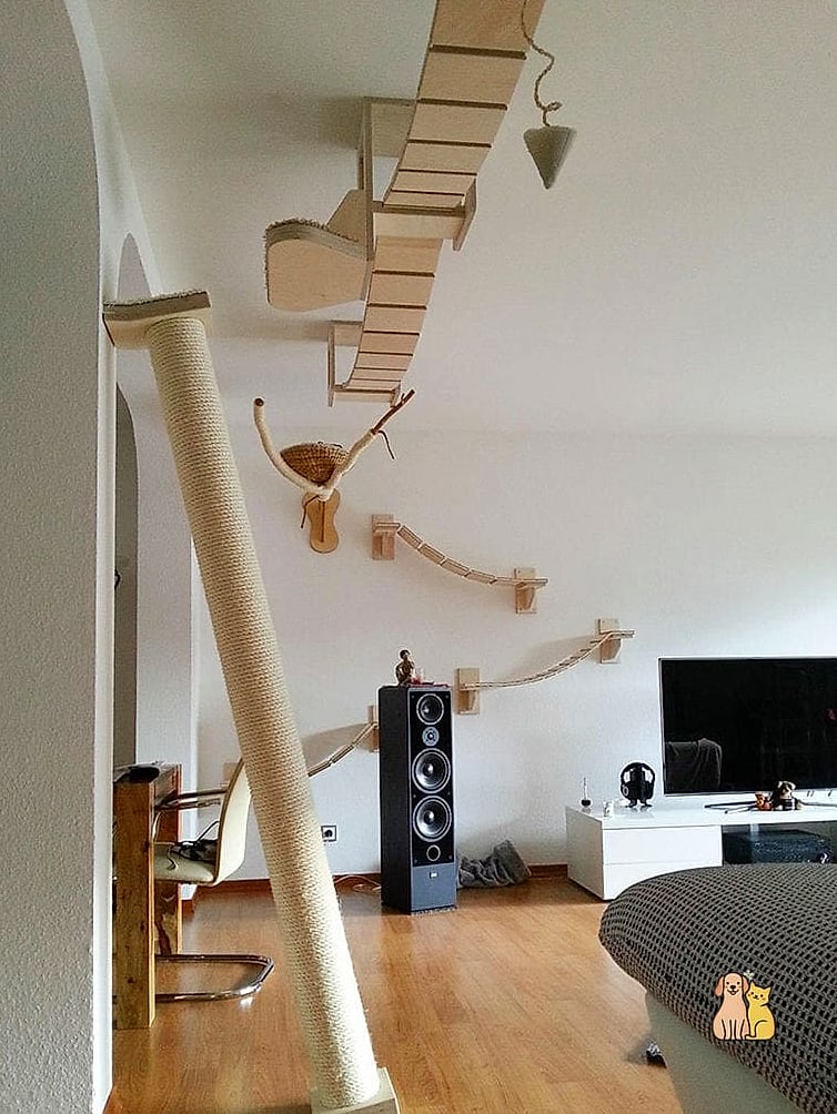 30 Creative Diy Catwalks For Cats That Will Inspire You 22 The Two-Story Stairwell Climb