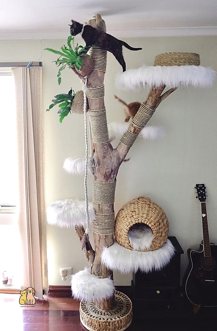 The Two-Story Kitten Playground Tree