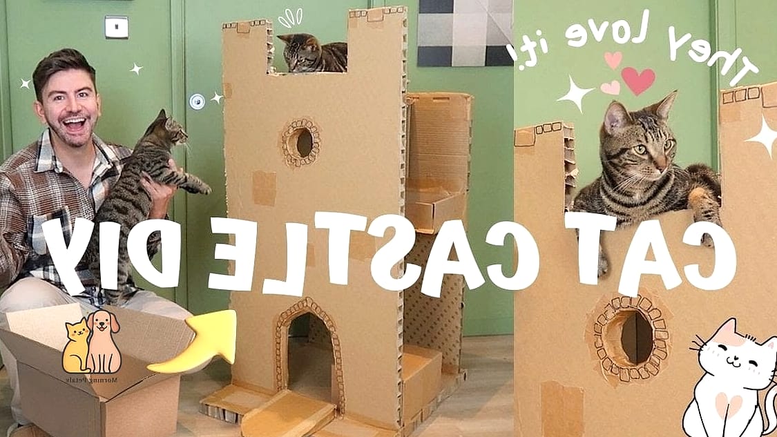 The Two-Story Cardboard Tower