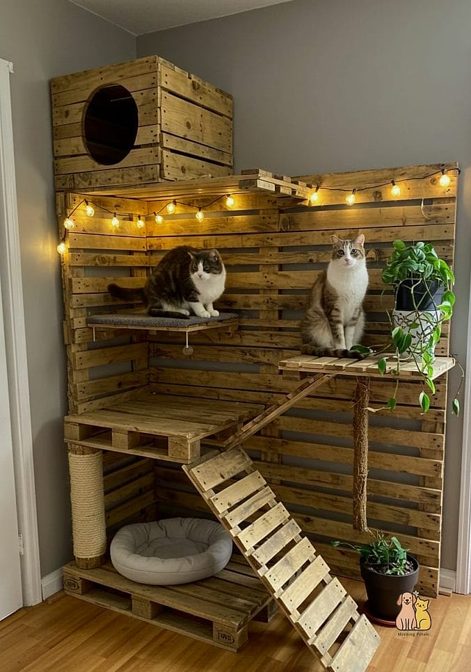 The Two-Story Wooden Cat Condo