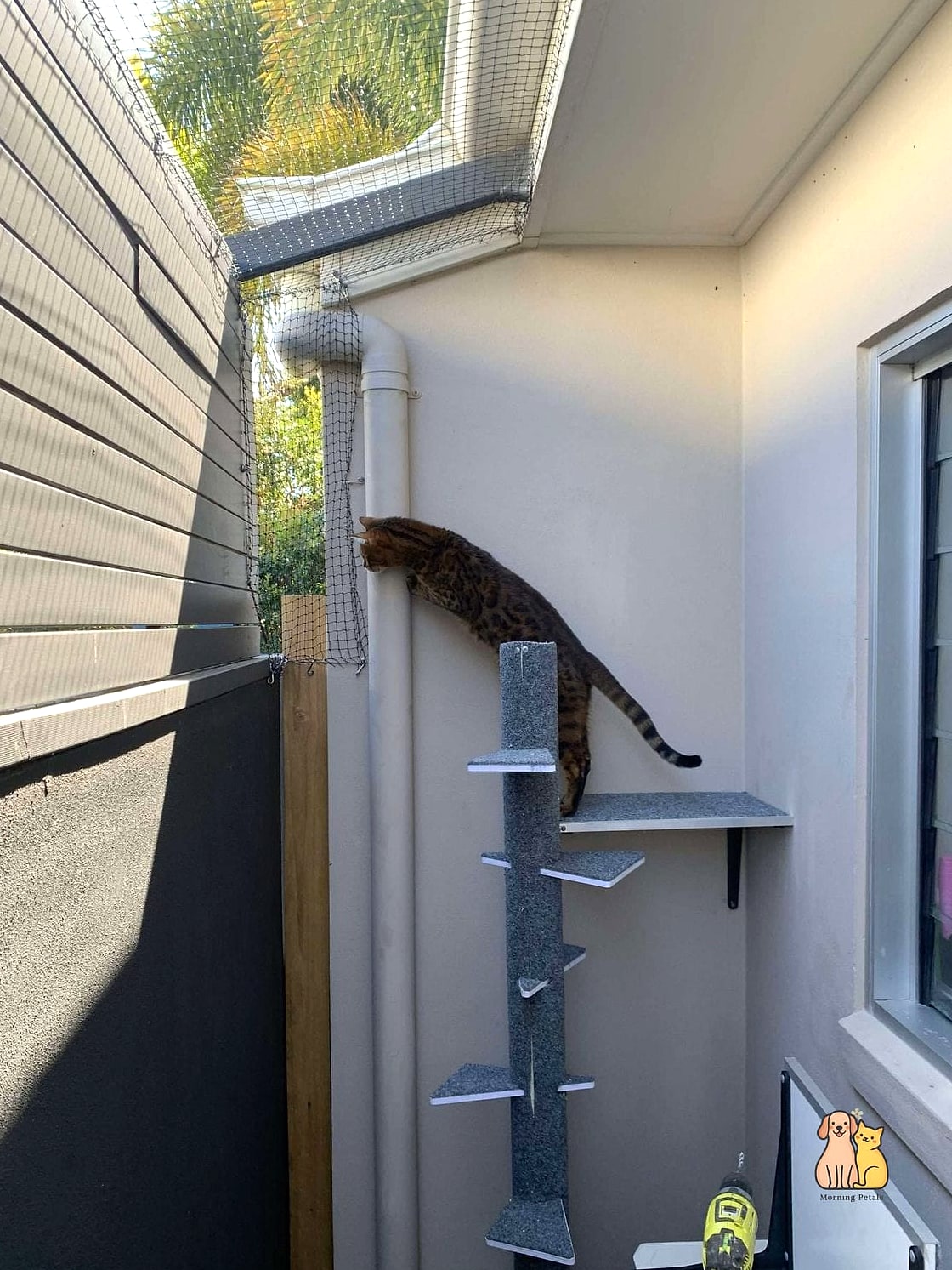 The Two-Story Staircase Catio