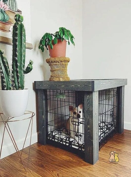 The Two-Tier Small Pet Setup