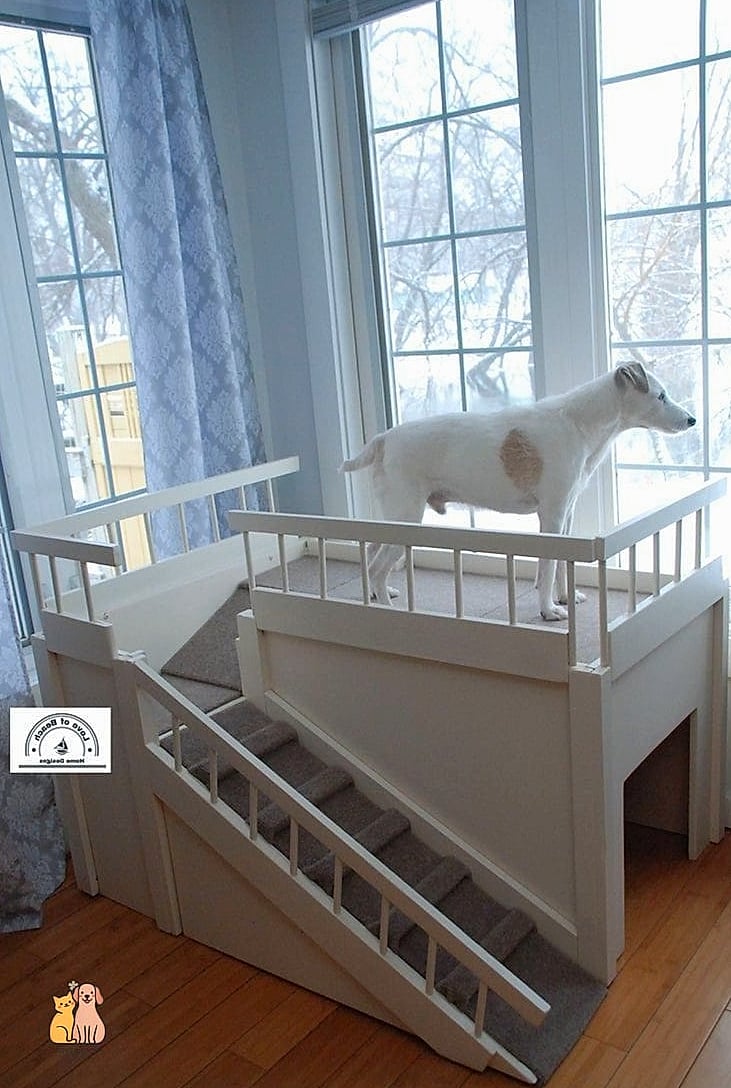 The Two-Tier Window Perch Ramp